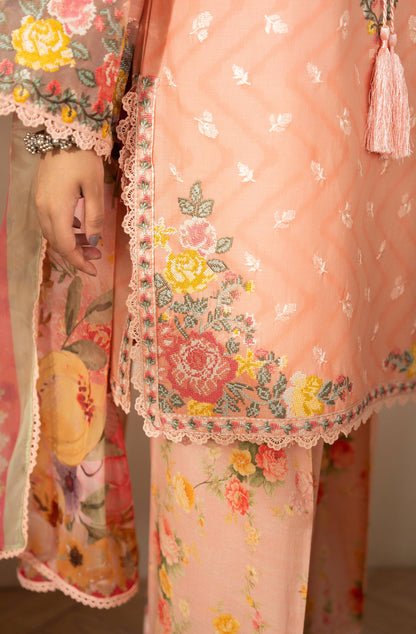 APRICOT